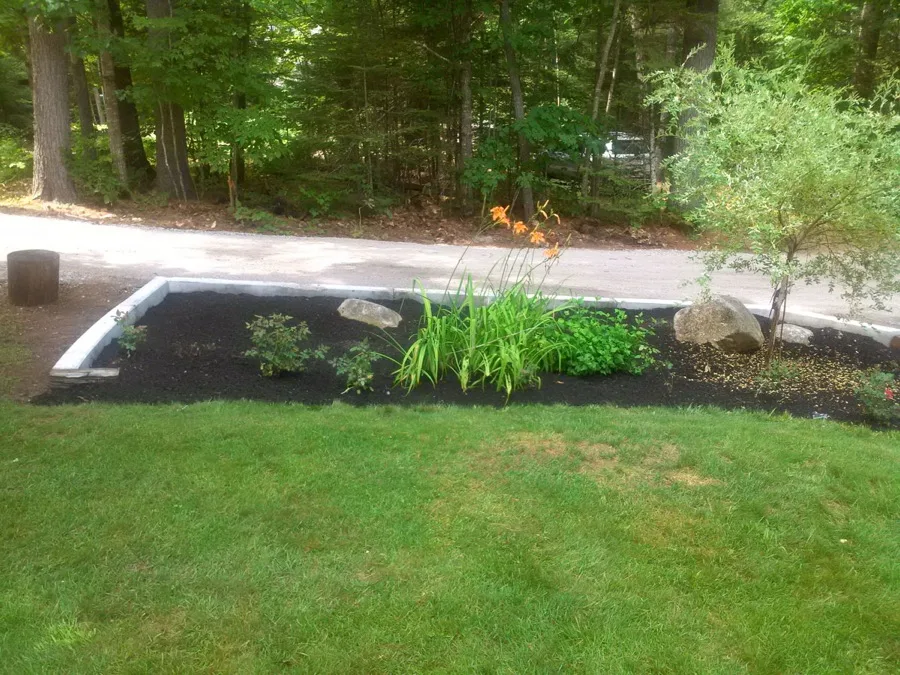 Newly mulched landscape bed with boulders and plantings