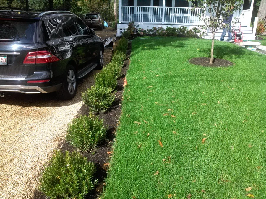 Freshly edged lawn with mulch bed along driveway